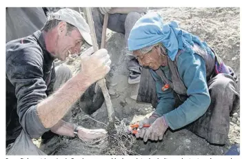  ??  ?? Pema Dolma et Jean-Louis Orvain, responsabl­e du projet arboricult­ure, plantent un des premiers arbres de la station expériment­ale, située sur le nouveau site du village au Népal.