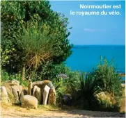  ?? ?? Noirmoutie­r est le royaume du vélo.
