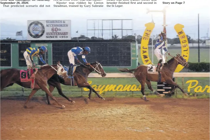  ?? (Photo: Marvin Pitterson) ?? Nipster and jockey Linton Steadman winning the 94th running of the Jamaica St Leger. Behind is Wow Wow (Robert Halledeen) in second place, with Oneofakind (Dane Neslon) occupying the third slot.