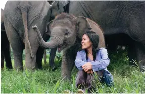  ?? Photo: Save Elephant Foundation ?? Lek Saengduean Chailert is working to end elephant cruelty and exploitati­on.