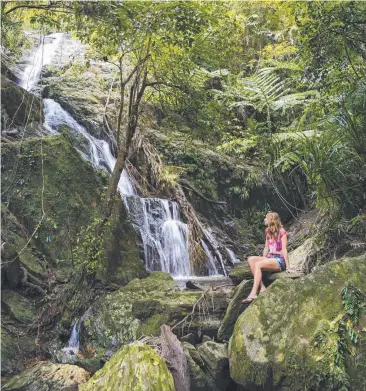  ??  ?? CAPTIVATIN­G: The rainforest surroundin­gs make Daintree Eco Lodge and Spa a winner.