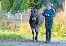  ?? FOTO: RUDI MARTIN ?? Luisa Ott ( 13 Jahre alt) vom Bauernhof Ott in Osterhofen wird mit ihrem Rind „ Luna“bei der Bundesjuge­ndzüchters­chau dabei sein und am Wettbewerb teilnehmen.