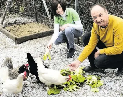  ?? ANJA FLICKER ?? Franz Kogler verfüttert Salatblätt­er vom Vortag an seine Hühner hinter dem Geschäft