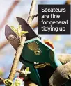  ?? ?? Secateurs are fine for general tidying up on a strong, level surface at the right height to cut tall hedges without stretching.