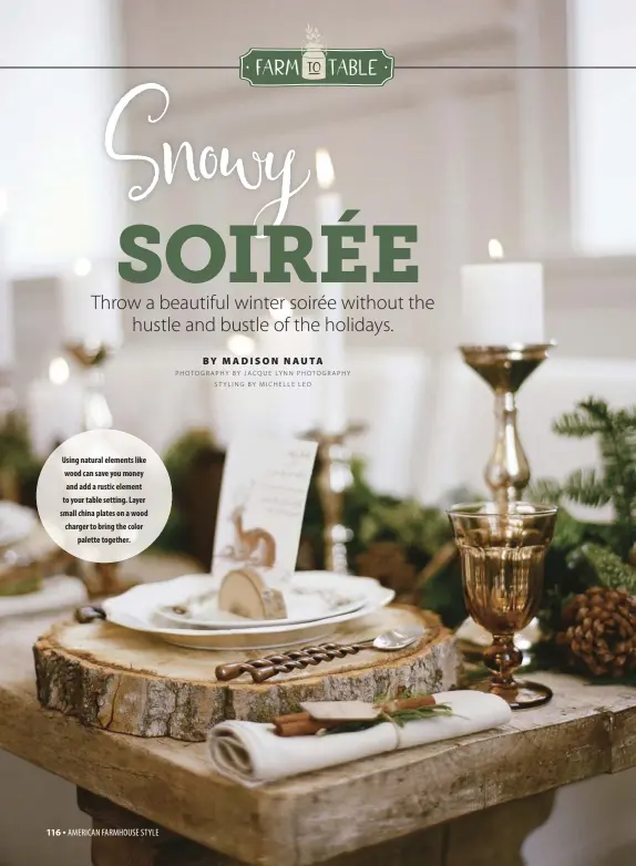  ?? BY MADISON NAUTA PHOTOGRAPH­Y B Y J ACQUE LYNN P H OTOGRAPHY
STYLING BY MICHELLE LEO ?? Using natural elements like wood can save you money and add a rustic element to your table setting. Layer small china plates on a wood charger to bring the colorpalet­te together.