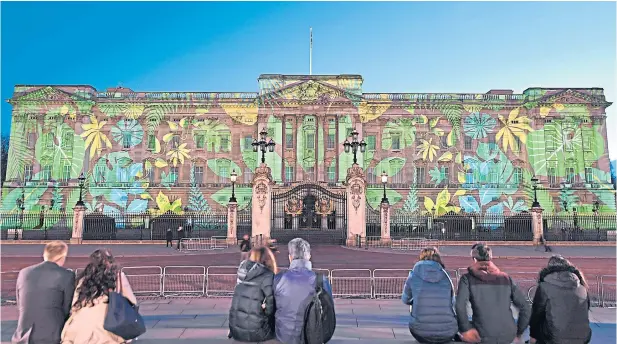  ??  ?? Regal forest A rainforest design was projected on to Buckingham Palace last night to celebrate the Queen’s ambitious initiative to create a global network of protected forests, part of the Queen’s Commonweal­th Canopy project (QCC). The artwork features...
