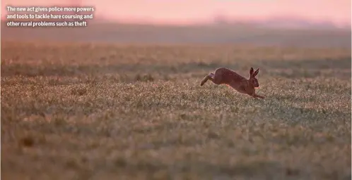  ?? ?? The new act gives police more powers and tools to tackle hare coursing and other rural problems such as theft