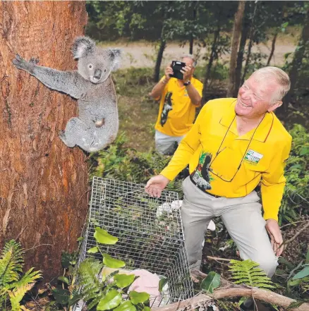  ?? Picture: REGI VARGHESE ?? Currumbin Wildlife Hospital volunteers Dough Buerger (right) and Michael Sanders release Wandering Kate into the Nerang Conservati­on Park at Clagiraba yesterday.