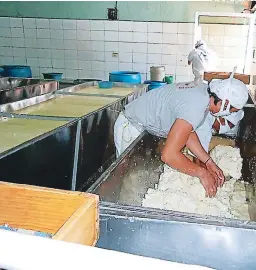  ?? FOTO: EL HERALDO ?? Se estima que entre 80% y 90% de la producción de leche se destina para la elaboració­n de quesos, mantequill­a, quesillo y cuajada.