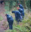  ??  ?? Gardai combing the woods in Castlemart­yr, East Cork this week in the search for missing Tina Satchwell, pictured left.