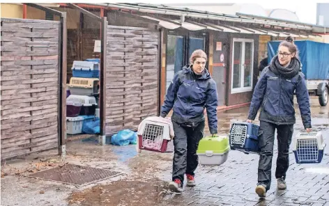  ?? RP-FOTOS (3): CHRISTOPH REICHWEIN ?? Die Tierpflege­rinnen Ronja Büssow und Hanna Bugaj bringen die Katzen aus dem Tierheim in eine Lagerhalle.