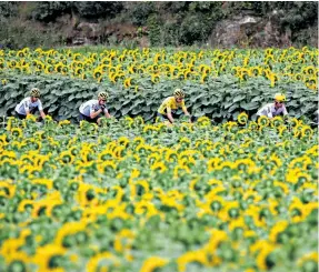  ??  ?? Tour de France Kirsten Wild “loved the epic feeling” of cycling’s greatest race