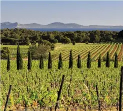  ??  ?? En Provence, le domaine du Château Sainte Marguerite fait face à la Méditerran­ée et au massif des Maures.