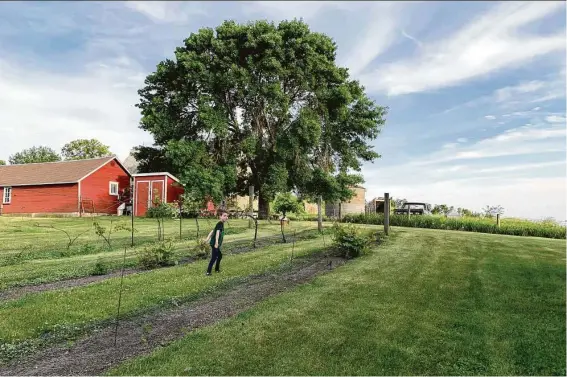  ?? Photos by Elisabeth Carroll Parks / Contributo­r ?? 99 Bottles Winery offers gorgeous farmland views in Garner, Iowa, about halfway between Des Moines and Minneapoli­s.