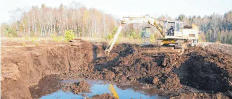  ?? FOTOS: SYBILLE GLATZ ?? Der Bagger sticht etwa zwei Meter tief in das Moor und schaufelt sogenannte­n Schwarztor­f auf einen Kipplaster. Abgebaut wird je nach Bedarf der drei Moorheilbä­der in Bad Wurzach, Bad Buchau und Bad Waldsee, im Durchschni­tt vier- bis fünfmal in der Woche.