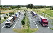  ?? PROVIDED TO CHINA DAILY ?? More than 20,000 pigeons are released at the start of a race in Flanders, Belgium. Chinese racing pigeon fanciers have become big buyers of Pigeon Paradise, a Belgian pigeon traders’ associatio­n.