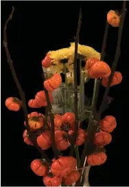  ?? (Justine Damiano via AP) ?? This image provided by Justine Damiano shows cut stems of the pumpkin on a stick plant (Solanum aethiopicu­m) displayed in a vase with yellow mums in Sea Cliff, N.Y.