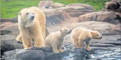  ?? [COLUMBUS ZOO AND AQUARIUM] ??