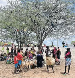  ?? Picture: AFP / TONY KARUMBA ?? SEASONED: Traditiona­l Samburu tribes people shelter in the shade of an acacia at Merille livestock market, some 411km north of Nairobi in Kenya’s Marsabit county last month. Nomadic livestock herders in East Africa’s drylands have endured climate variabilit­y for millennia.