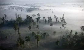  ?? ?? Fires burn off logged virgin rainforest in Aceh province, Indonesia. Photograph: Robert Nickelsber­g/Getty Images