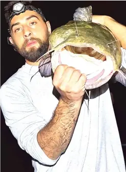  ?? PROVIDED ?? Ricky Sjurset with what he called ‘‘40 pounds of passion and obsession,’’ a flathead catfish caught last week from the Fox River.