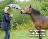  ??  ?? Allow your horse to feel curiosity rather than alarm