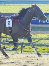  ?? PHOTO: JONNY TURNER ?? Storming home . . . Storm Prince and driver Blair Orange beat Homebush Lad and Ben Hope to win the Kurow Cup at Oamaru yesterday.