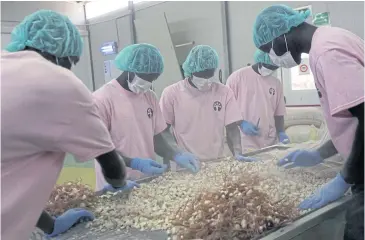  ?? REUTERS ?? Employees separate the fibre from the baobab fruit inside the factory of the Baobab Fruit Company Senegal in Thies, Senegal.