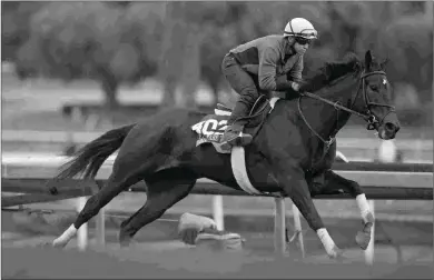  ?? BARBARA D. LIVINGSTON ?? Avenge is one of two Grade 1 winners in a field of 10 turf fillies and mares for the Rodeo Drive.