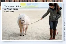  ??  ?? Teddy and Alice at Your Horse Live 2019