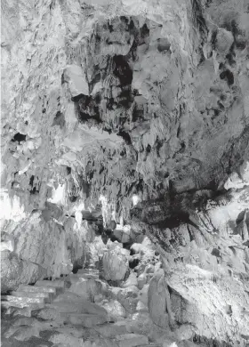  ?? PHOTOS BY KATHY WITT TNS ?? Left, come feed the animals and drive through the safari park at Dutch Country Safari Park. Above, Mammoth Onyx Cave, located on the grounds of Kentucky Down Under Adventure Zoo is considered one of Kentucky's most scenic caves.