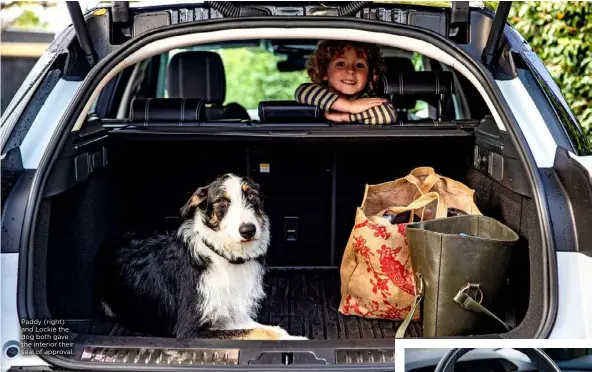  ??  ?? Paddy (right) and Lockie the dog both gave the interior their seal of approval.