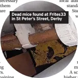  ?? ?? Dead mice found at Frites33 in St Peter’s Street, Derby