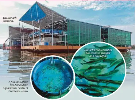  ?? ?? The Eco Ark fish farm.