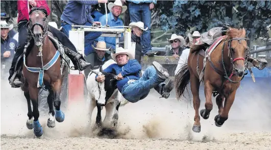  ?? PHOTOS: STEPHEN JAQUIERY ?? Get a grip . . . Corey Church, of Rotorua, leaps from his mount on to a steer during the steer wrestling.