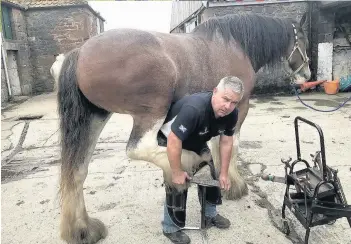  ??  ?? Prize- winning cattle Skills Farrier Jim Balfour