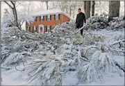  ?? AP/MIKE STEWART ?? Tom Virgili surveys the damage Saturday after heavy snow decimated the pine trees in his neighborho­od in Kennesaw, Ga.