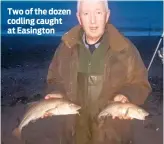  ??  ?? Two of the dozen codling caught at Easington