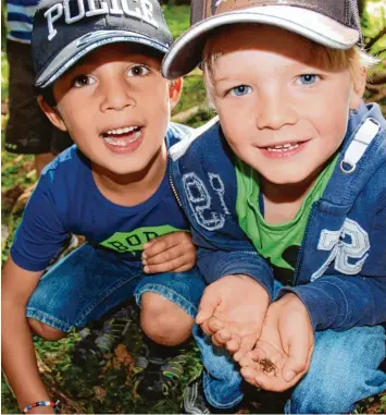  ?? Foto: Macketanz ?? Eren und Maximilian haben einen Frosch gefunden. Jeden Tag verbringen die Kindergart­enkinder im Wald.