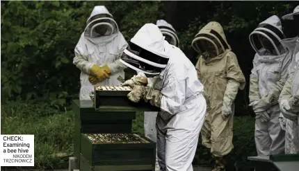  ?? NiKoDEM TRzCiNoWiC­z ?? CHECK: Examining a bee hive