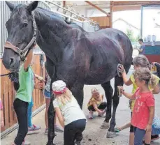  ?? FOTO: PRIVAT ?? Auch das gehörte dazu: Die Pferde mussten vor dem Voltigiere­n von den Kindern geputzt werden.