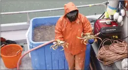  ?? PHOTOS BY SHAE HAMMOND — STAFF PHOTOGRAPH­ER ?? Jerry Thompson of San Francisco holds Dungeness crabs at Pier 45in San Francisco on Dec. 31.