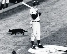  ?? UPI ?? A black cat walks past the Cubs’ Ron Santo during a game against the Mets at Shea Stadium on Sept. 9, 1969.