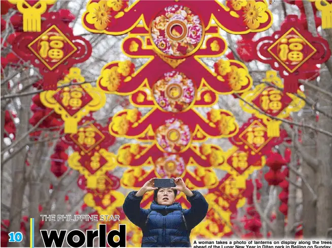  ?? AP ?? A woman takes a photo of lanterns on display along the trees ahead of the Lunar New Year in Ditan park in Beijing on Sunday. Asians celebrate the Lunar New Year on Feb. 10, marking the Year of the Wood Dragon.