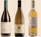  ??  ?? In purezza.
A fianco, le bottiglie sono: Silene Cesanese Superiore, Damiano Ciolli; Timorasso Derthona, La Colombera;
Picolit di Ronchi di Cialla;
Frappato, Arianna Occhipinti.
Sotto, la vigna vecchia di Raboso del Piave della cantina
Cecchetto a
Tezze di Piave ( Tv)