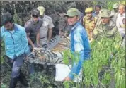  ?? HT PHOTO ?? Sariska tiger ST-4 was found dead on Sunday morning. It was cremated after autopsy.