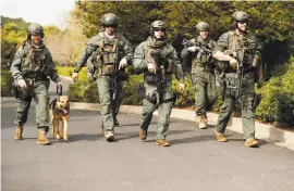  ??  ?? Sonoma County sheriff ’s officers join the search for armed robbery suspects after at least three Petaluma homes were reportedly invaded.