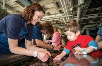  ?? ?? Monterey Bay Aquarium volunteers Sarah Mosakowski and Auston Rutledge help children engage with touch pool exhibits. -Provided photo