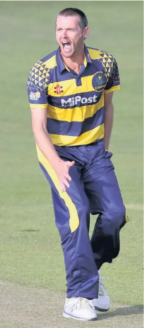  ??  ?? Glamorgan’s Michael Hogan celebrates after taking the wicket of Michael Carberry of Hampshire in Friday night’s T20 blast clash