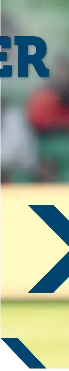  ?? ??